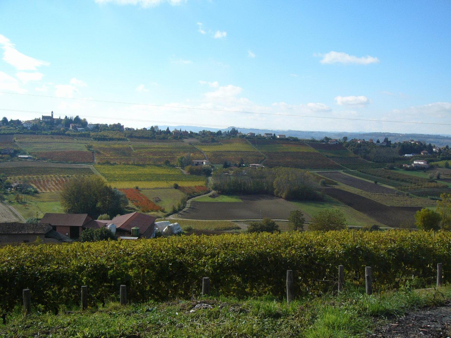 קוסטיליולה ד'אסטי Agriturismo Podere La Piazza מראה חיצוני תמונה